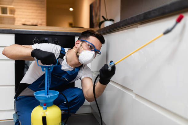 Best Termite Control Services  in Nashvle, IL