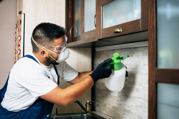 Best Pest Inspection Near Me  in Nashvle, IL
