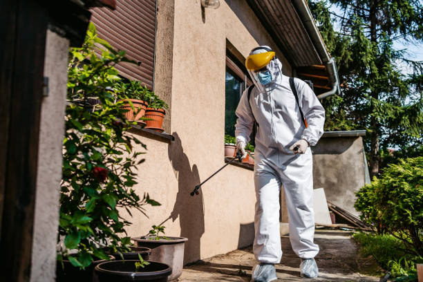 Best Residential Pest Control  in Nashvle, IL