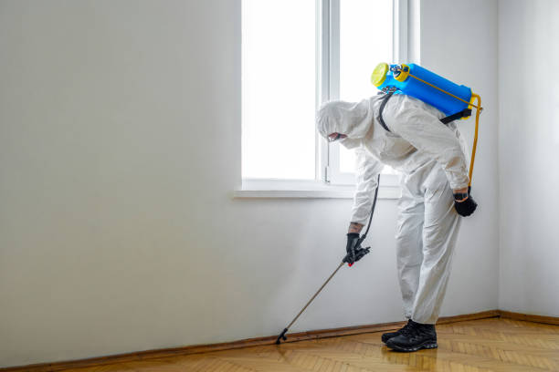 Best Pest Control Near Me  in Nashvle, IL