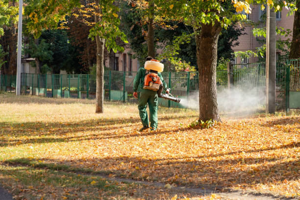 Best Rodent Control Near Me  in Nashvle, IL
